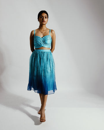 Ombre Dyed Embroidered Organza Skirt
